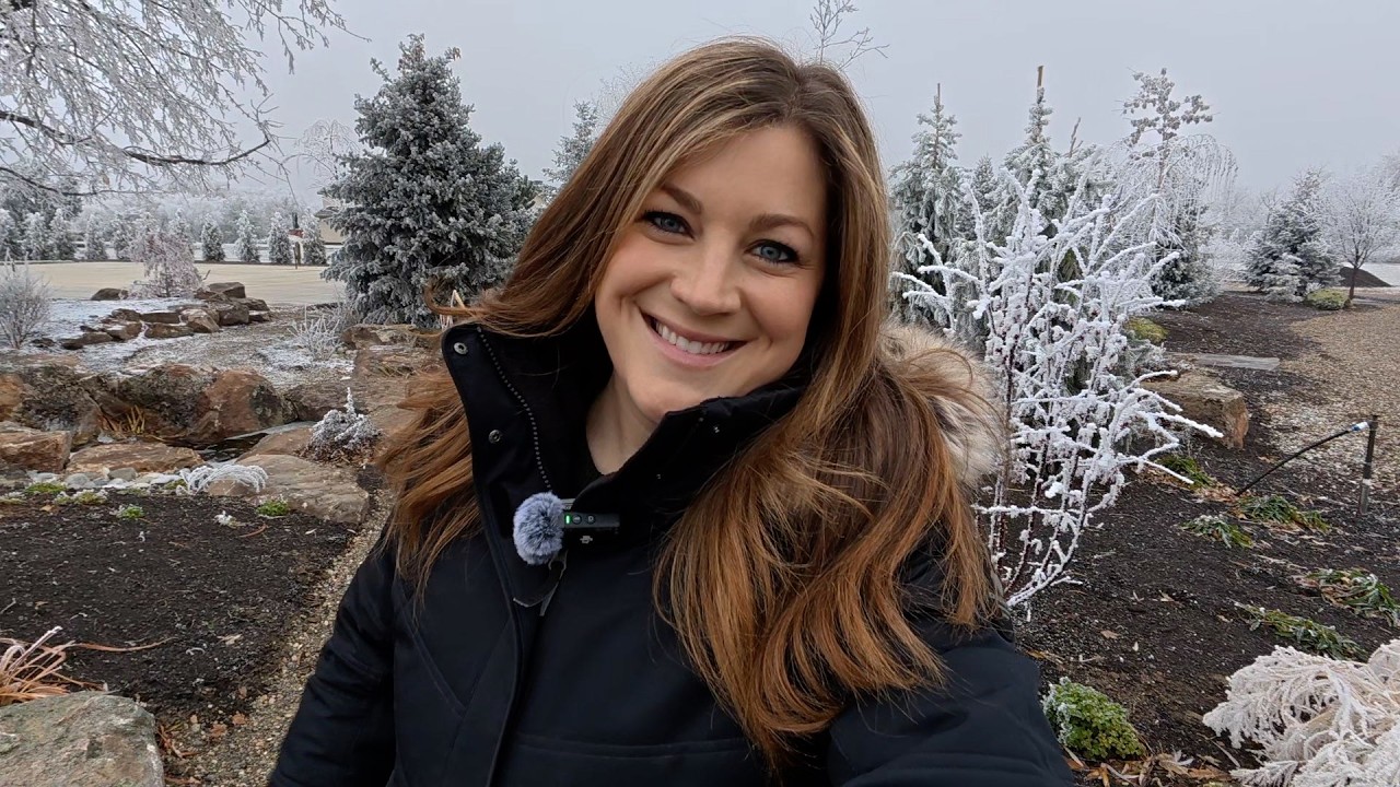Decking Out My Parent’s Window Boxes for Winter! 🥰🌲🏡 // Garden Answer