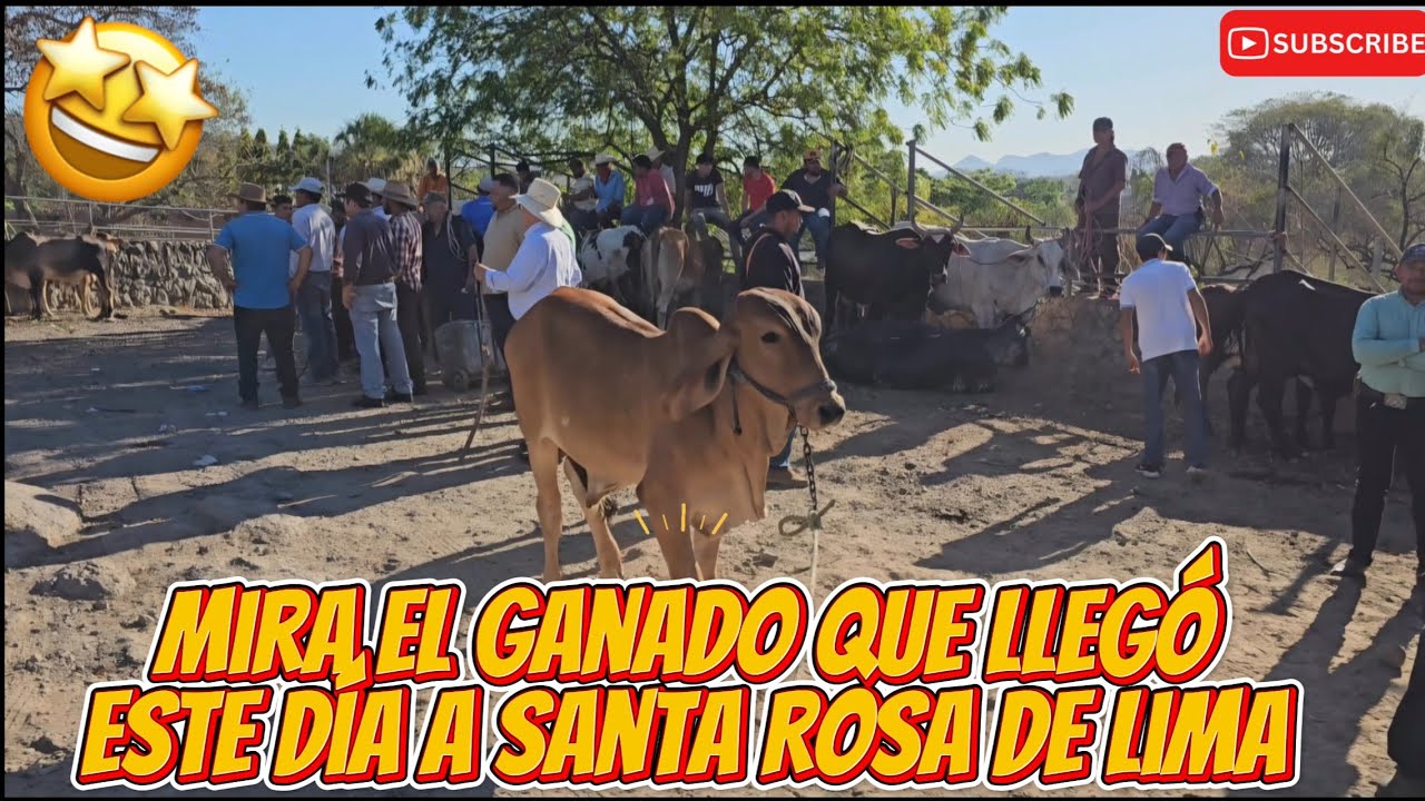 Tiangue de Santa Rosa de Lima, La Unión 