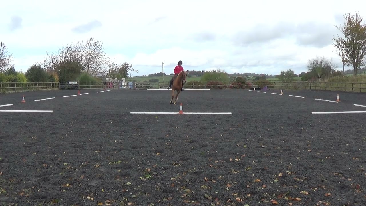 Oct - BD Elementary 3 - Julie Lees Riding Goldquest