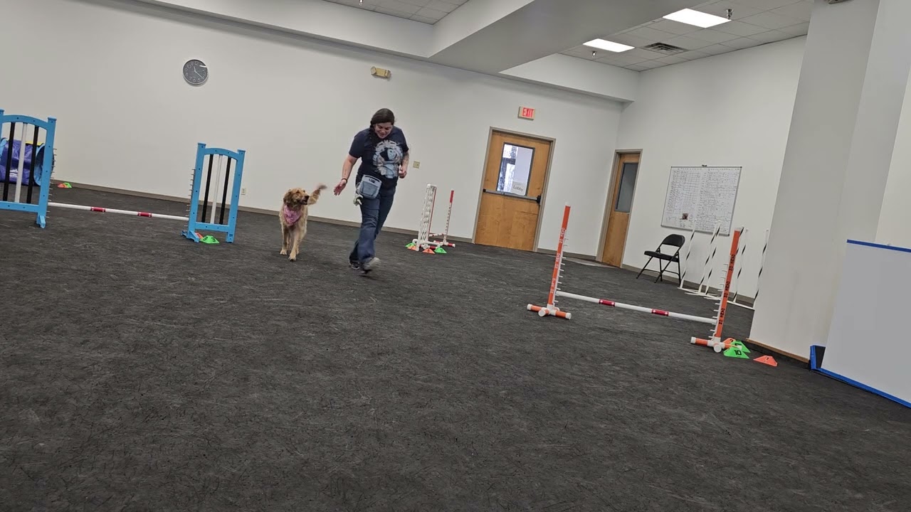 Agility practice 2/14/26