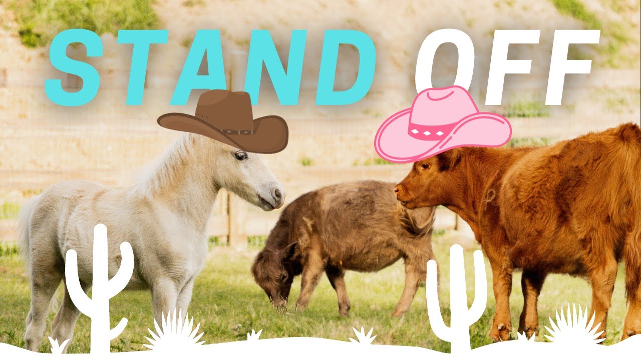 Mini Horse Meets Mini Cow!!