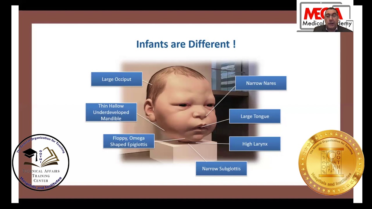 Paediatric Anaesthesia 2