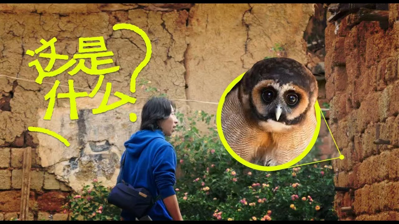 A village in Yunnan where owls call home.