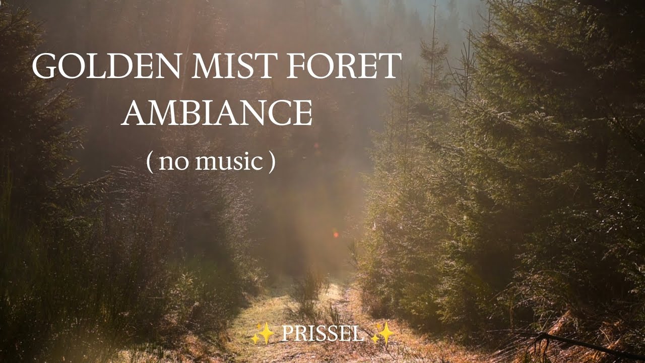 ✨ Misty Forest Morning at Sunrise 🌿 HD Relaxing Birdsong & Peaceful Nature Sounds relaxation asmr ✨