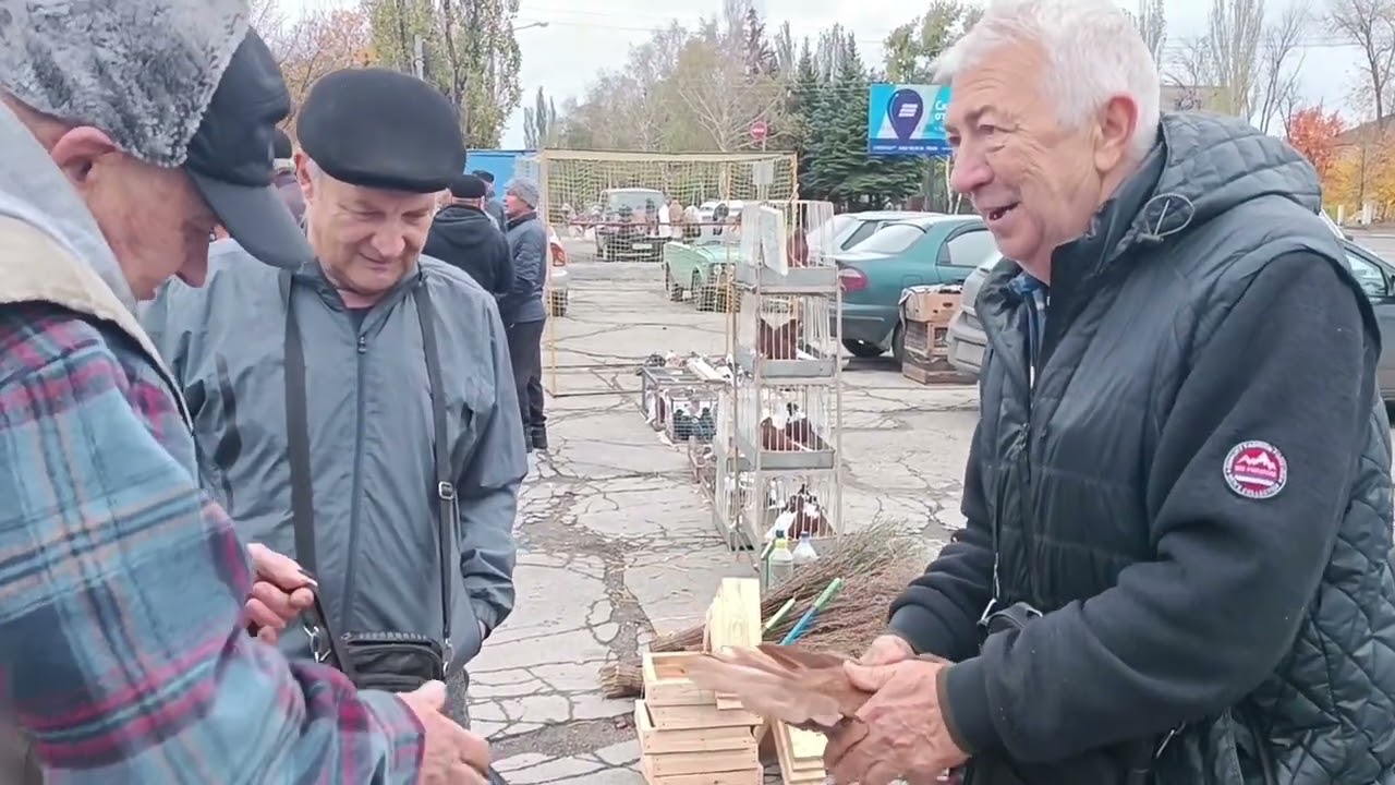Ярмарка голубей, г Шахтерск, 11.10.2025