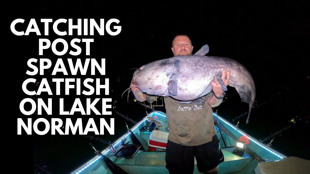 Catching post spawn catfish on Lake Norman