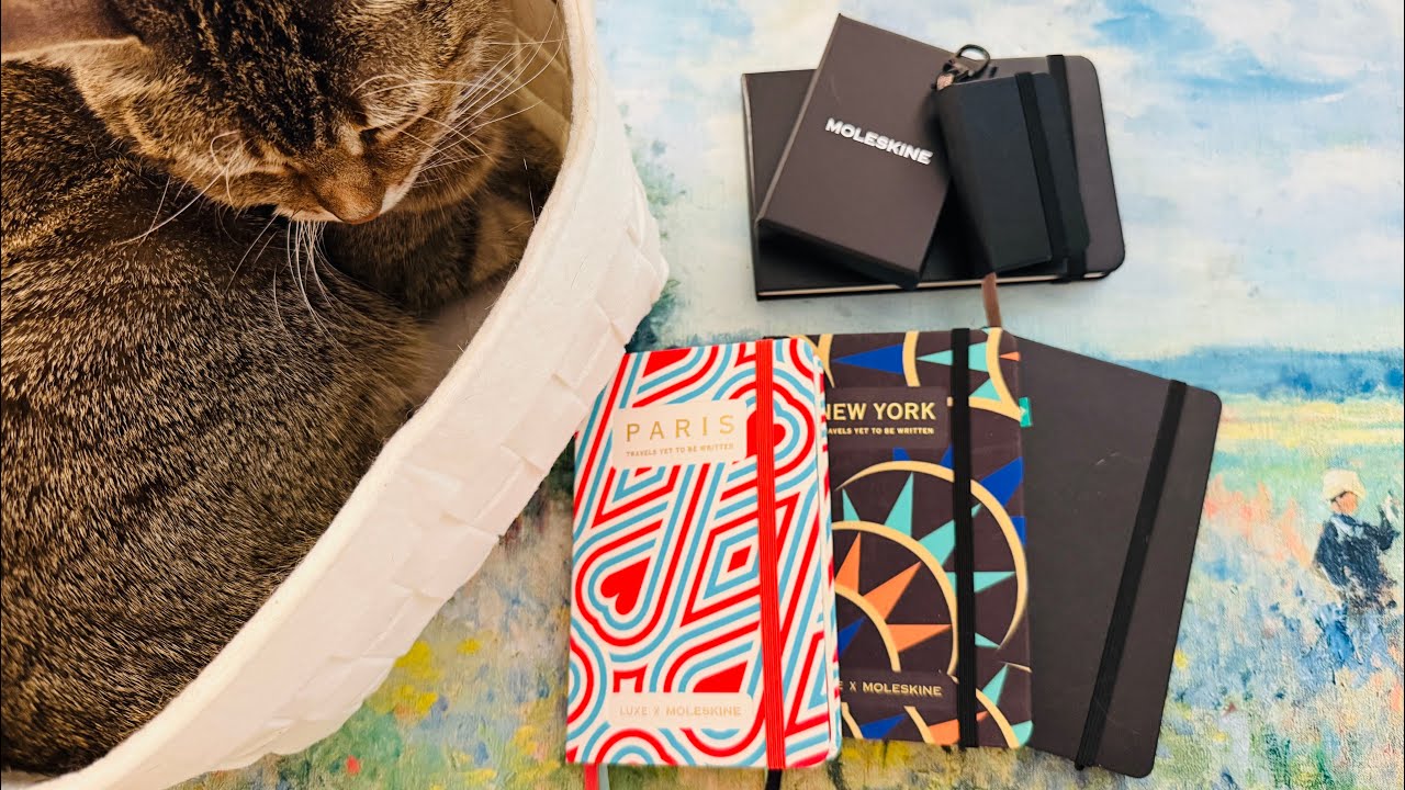 Новые карманные и мини-блокноты Moleskine, а также немного парижских разговоров! 💕