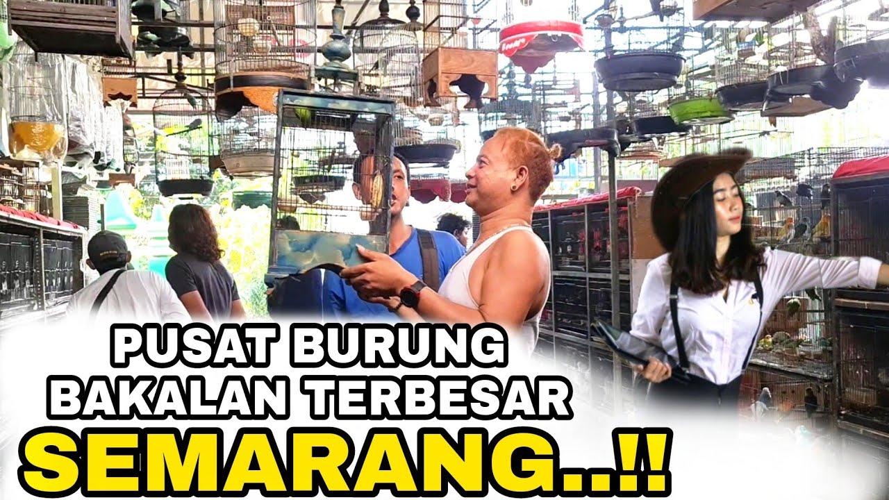 TERNYATA DISINI TEMPAT NYA..‼️