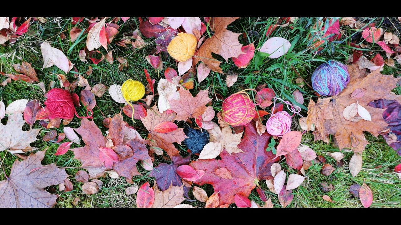 Neulevlog - Neuleet arjessa 1