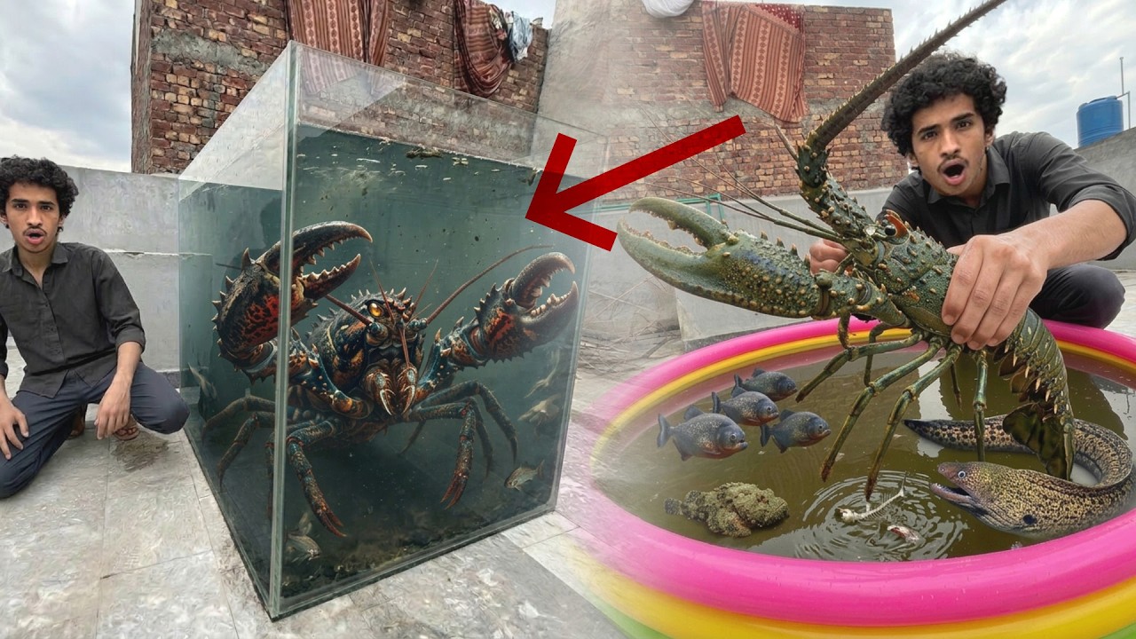 Ham Na Galti Sa Void Squamsters Ko Khol Liya