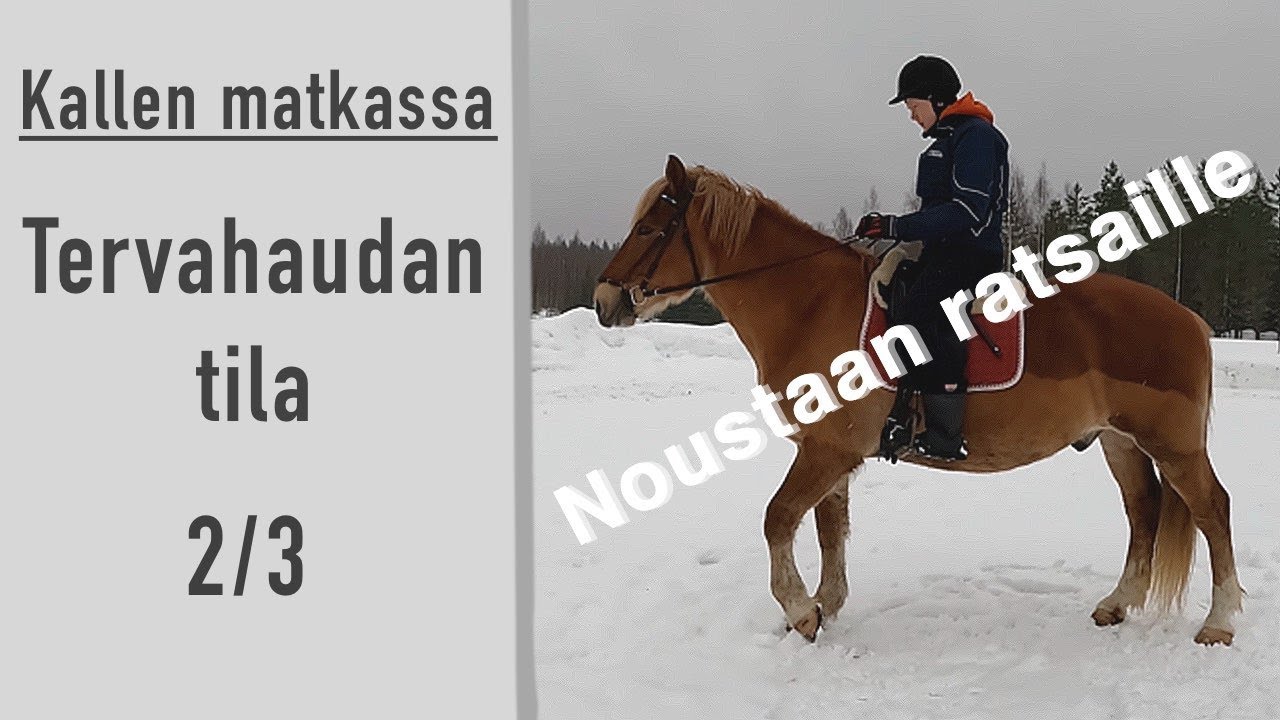 Kallen matkassa: Tervahaudan tila 2/3