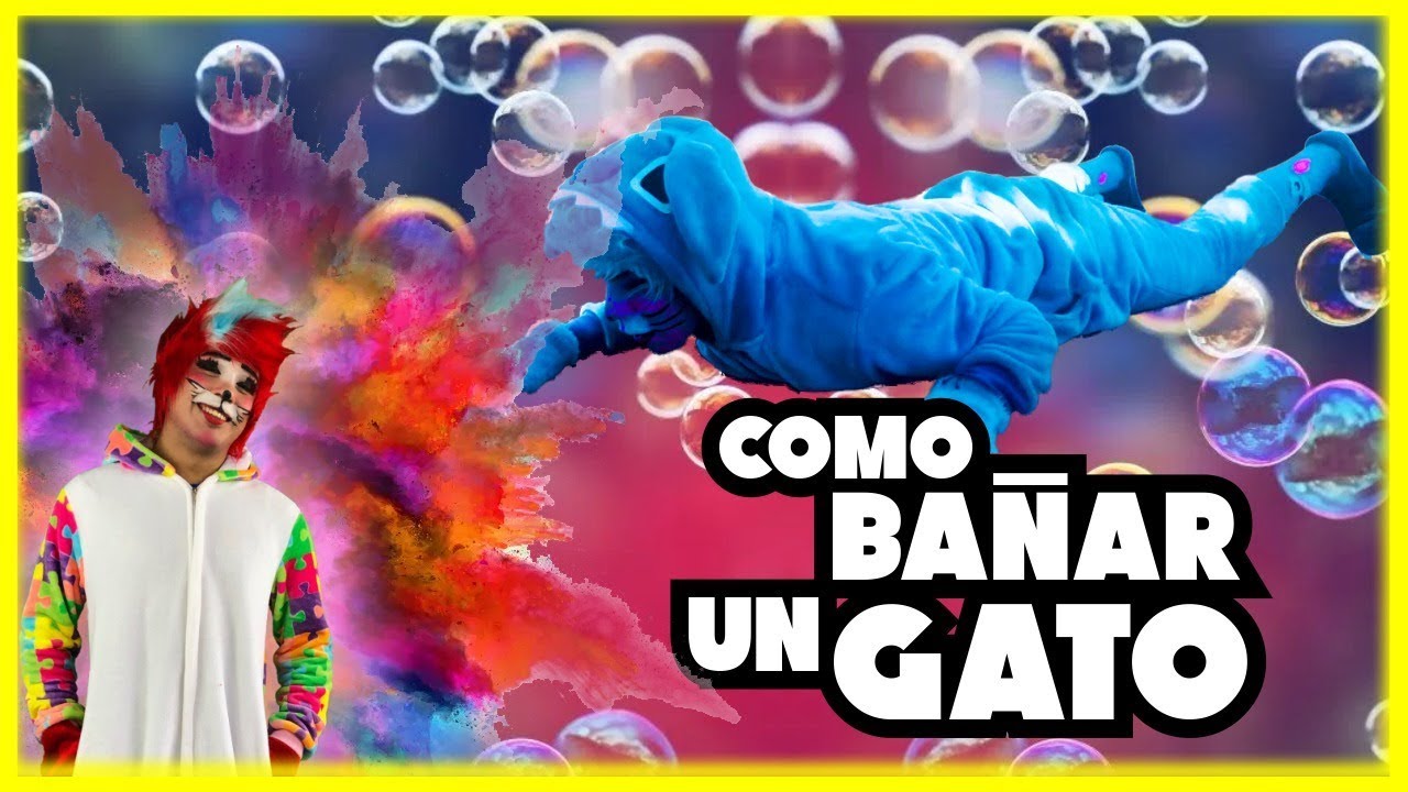 COMO BAÑAR UN GATO