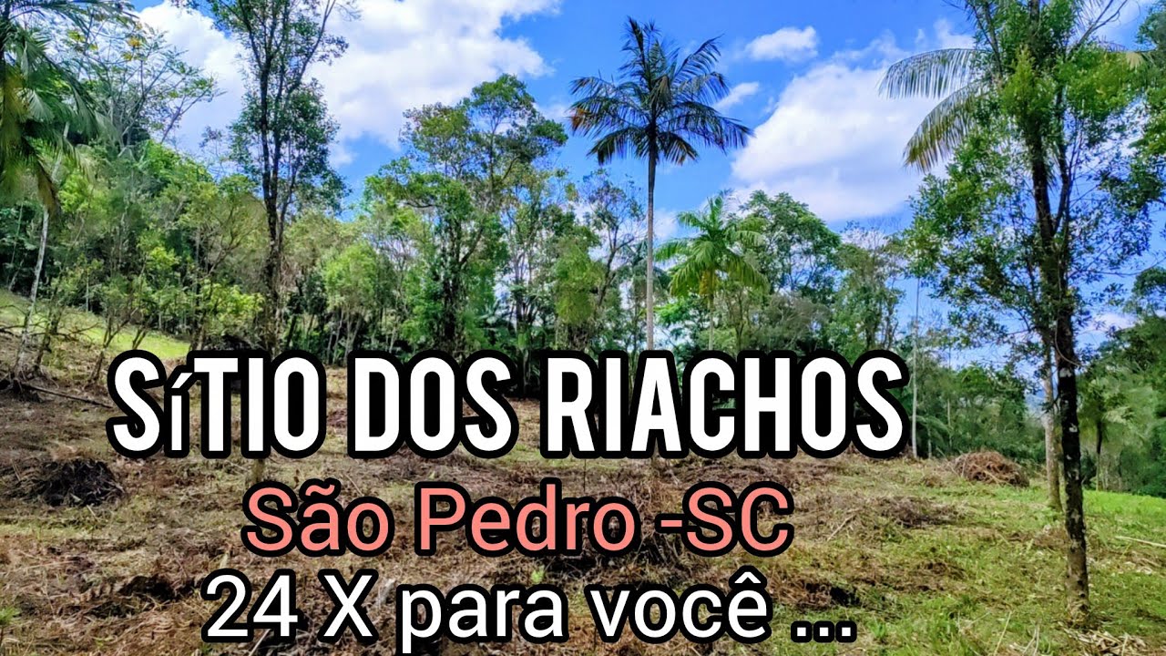 Sitio, terreno, propriedade com riachos e  natureza em São Pedro de Alcântara / Santo Amaro - SC...