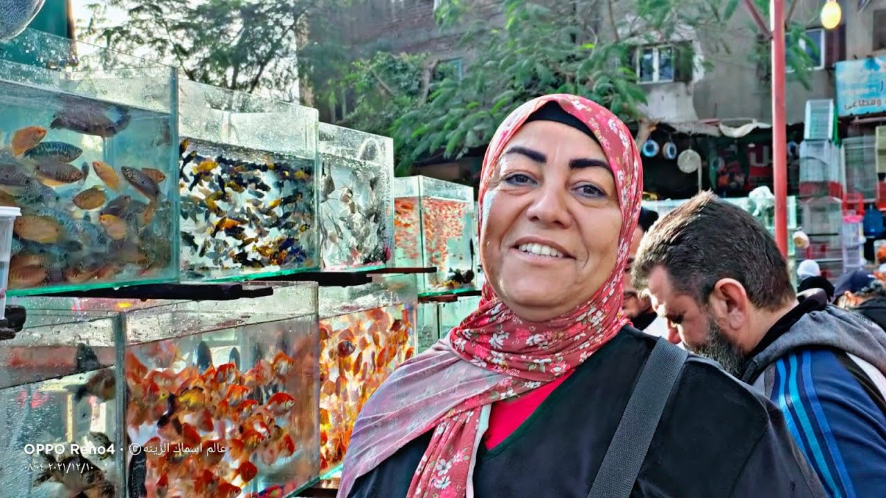 انهيار الاسعار مع ام حنان سوق الجمعه بالسيدة عائشة اسعار اسماك الزينه 🇪🇬🇪🇬🐠ام حنان Friday market