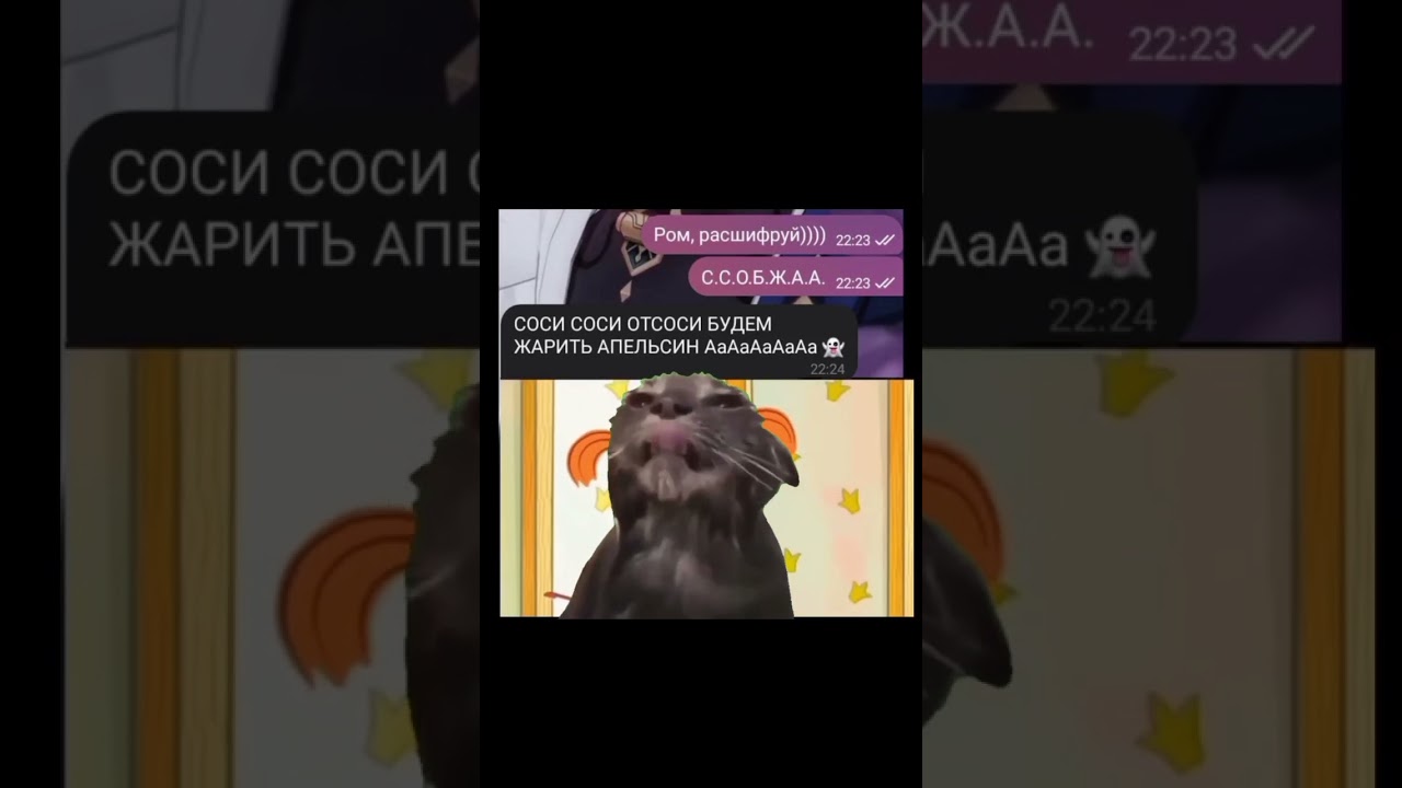 Ничего не получилось(( #2024 #мем #котики #анимация #мемныекоты #жиза #глобал #memes #животные #лол