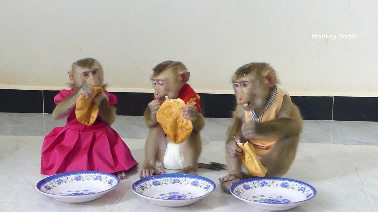 3 Cuties Hungry When Mom Prepare Donuts For Snack