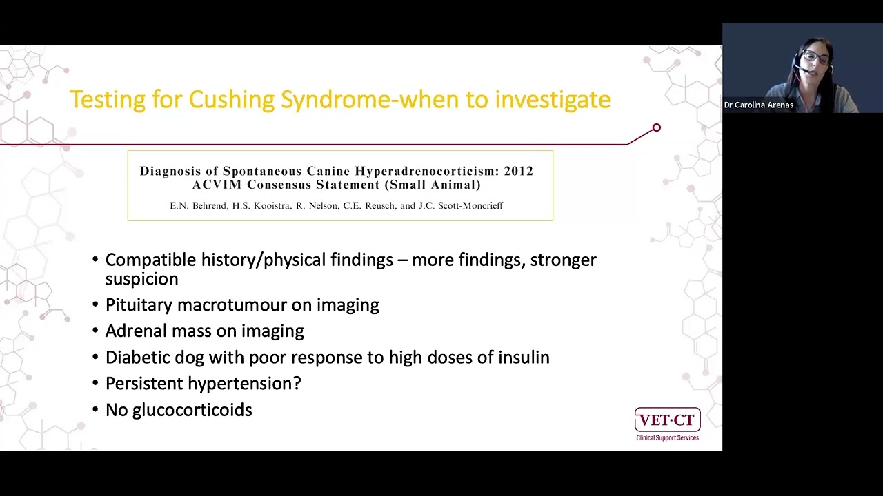 VET.CT Specialist Webinar - Diagnosis and Treatment of Cushing's Syndrome