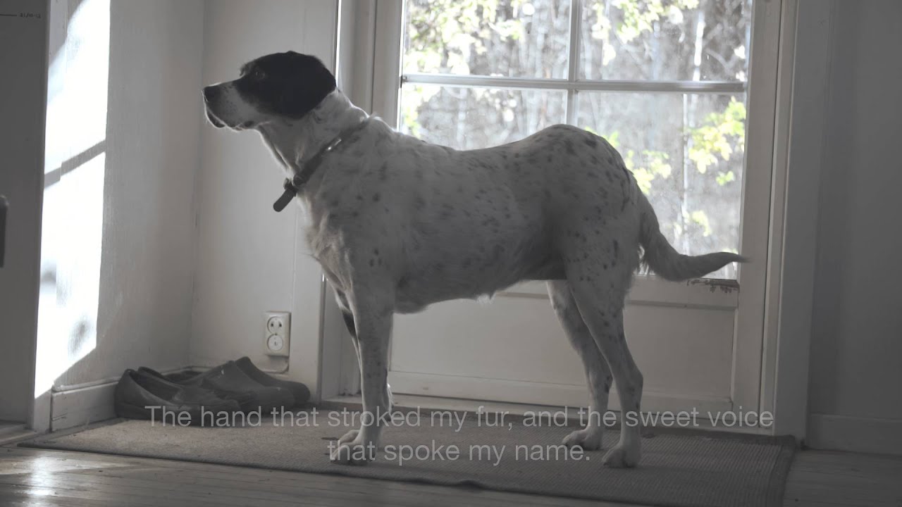 A Dog's Last Will and Testament