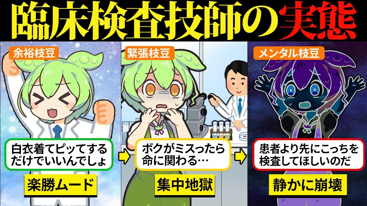 臨床検査技師って楽勝だと思ったら、白衣の裏側が地獄だった【ずんだもん＆ゆっくり解説】