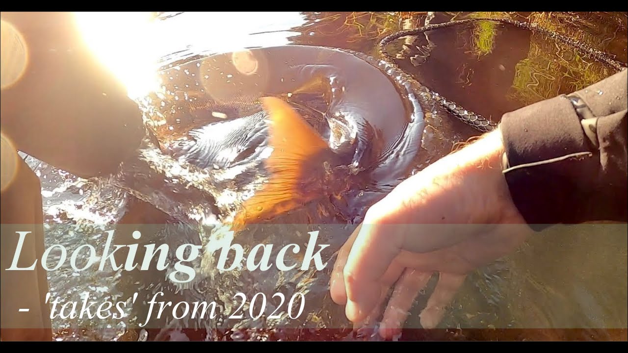 Looking back - salmon fishing 'takes' from 2020