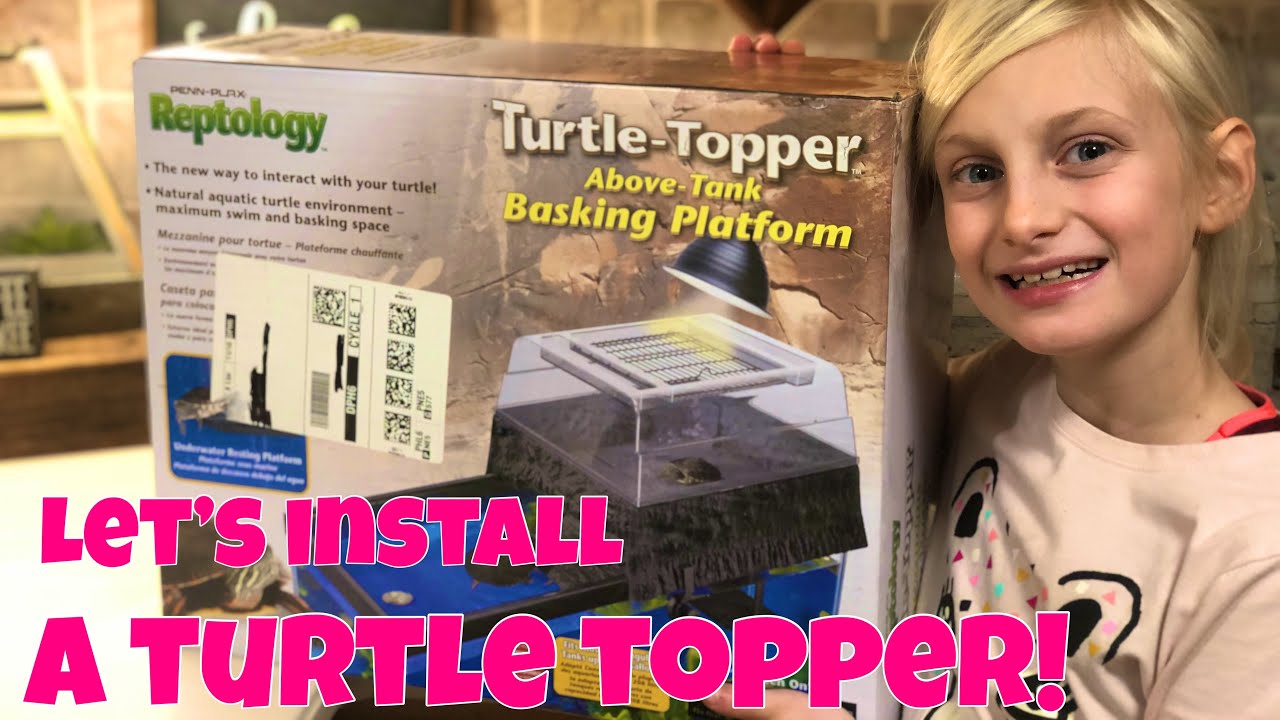 Installing a Reptology Turtle Topper!