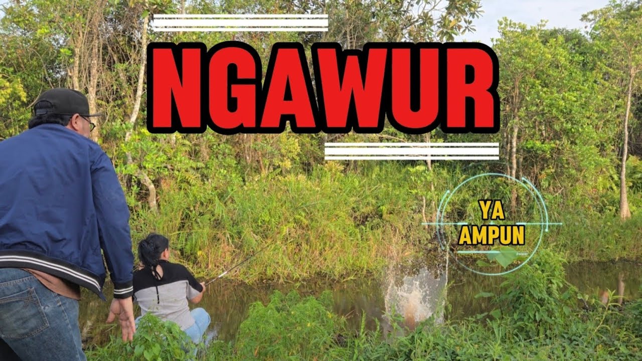 SPOTNYA AJA LUAR BIASA, APALAGI HASILNYA || MELONGO