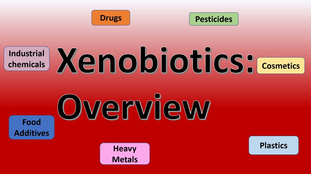 xenobiotics: overview