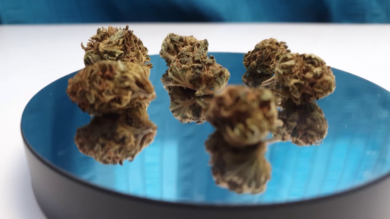 CBD Power UK - Silver (Lime Haze) CBD Flower Show Case