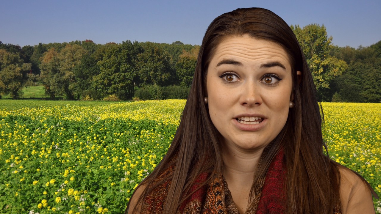 Belgium/Netherlands Sister Missionary Advice: Clothing, Safety, etc. (Latter-day Saint)