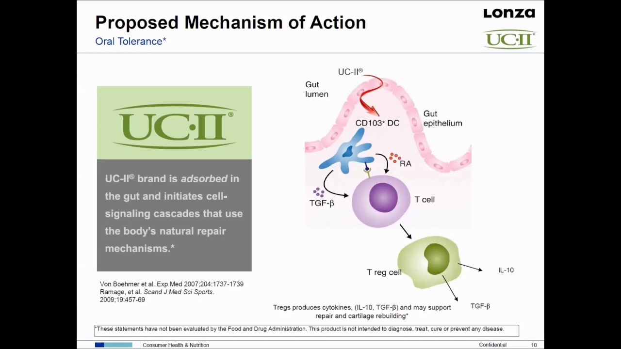 WEBINAR:  NOW UC-II® for Joint Support* Webinar | Undenatured Type II Collagen