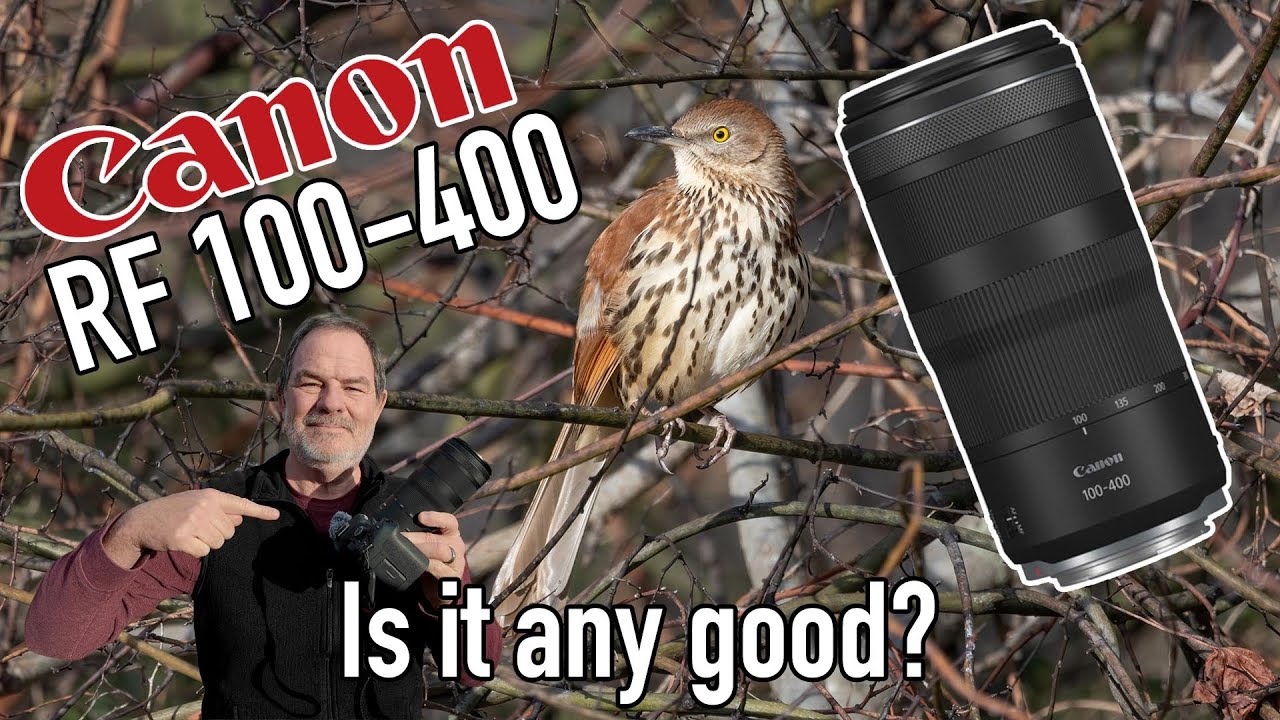Фотосъемка птиц с помощью объектива Canon RF 100-400 на камере EOS R7