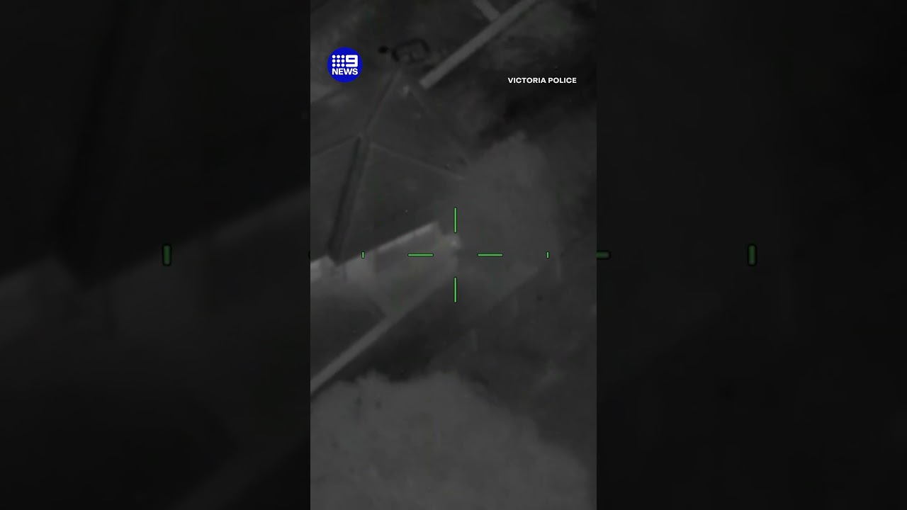 30 people arrested in major car theft operation | 9 News Australia