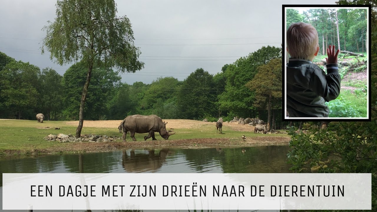 BURGERS' ZOO 2018 I VLOG #13 I Puur Jorieke