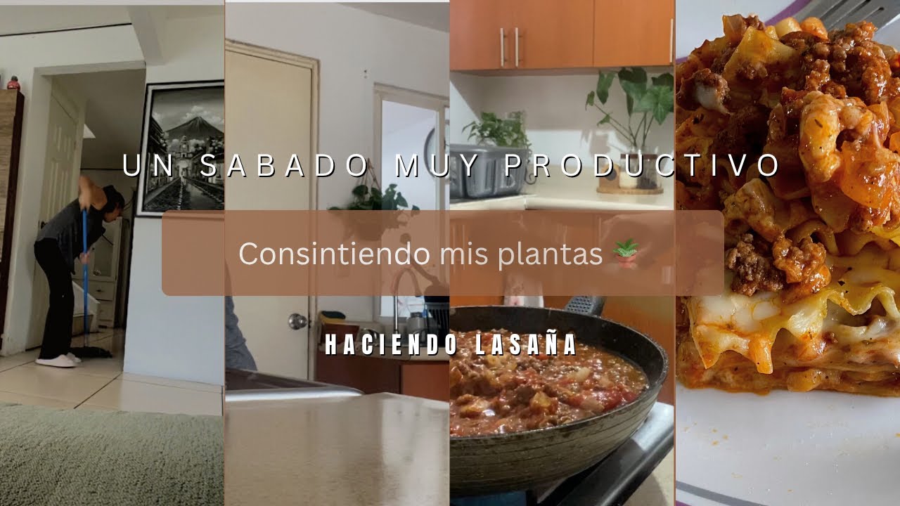 🍃🌿Poniendo más bonitas mis plantas 🪴hice lasaña 🍝limpieza en cocina 🫧🧽
