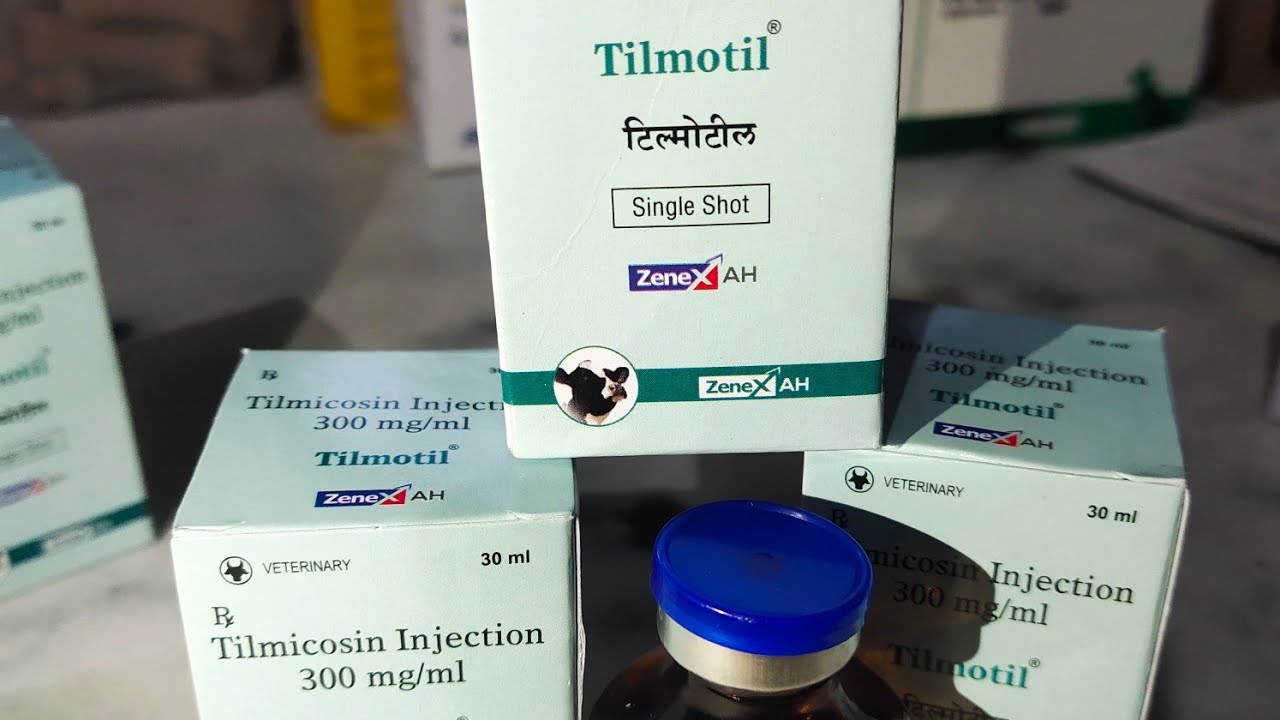 How Tilmicosin Could Save the World's Cattle Industry