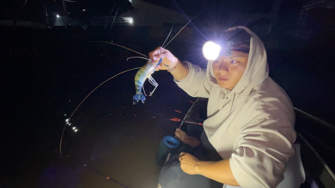 Mancing Udang lagi, mereka makan nya pada lahap semua. 