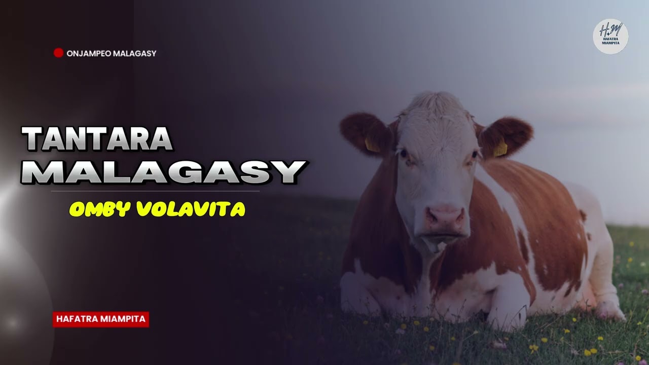 TANTARA MALAGASY - OMBY VOLAVITA