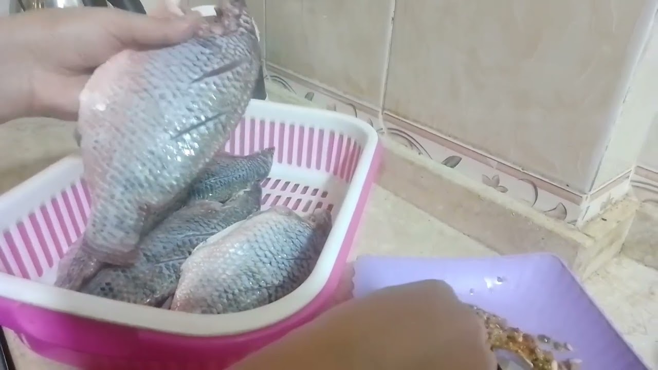 احلي ارز صياديه وسمك مقلي بتتبيله خطيره هتدعولي عليه 