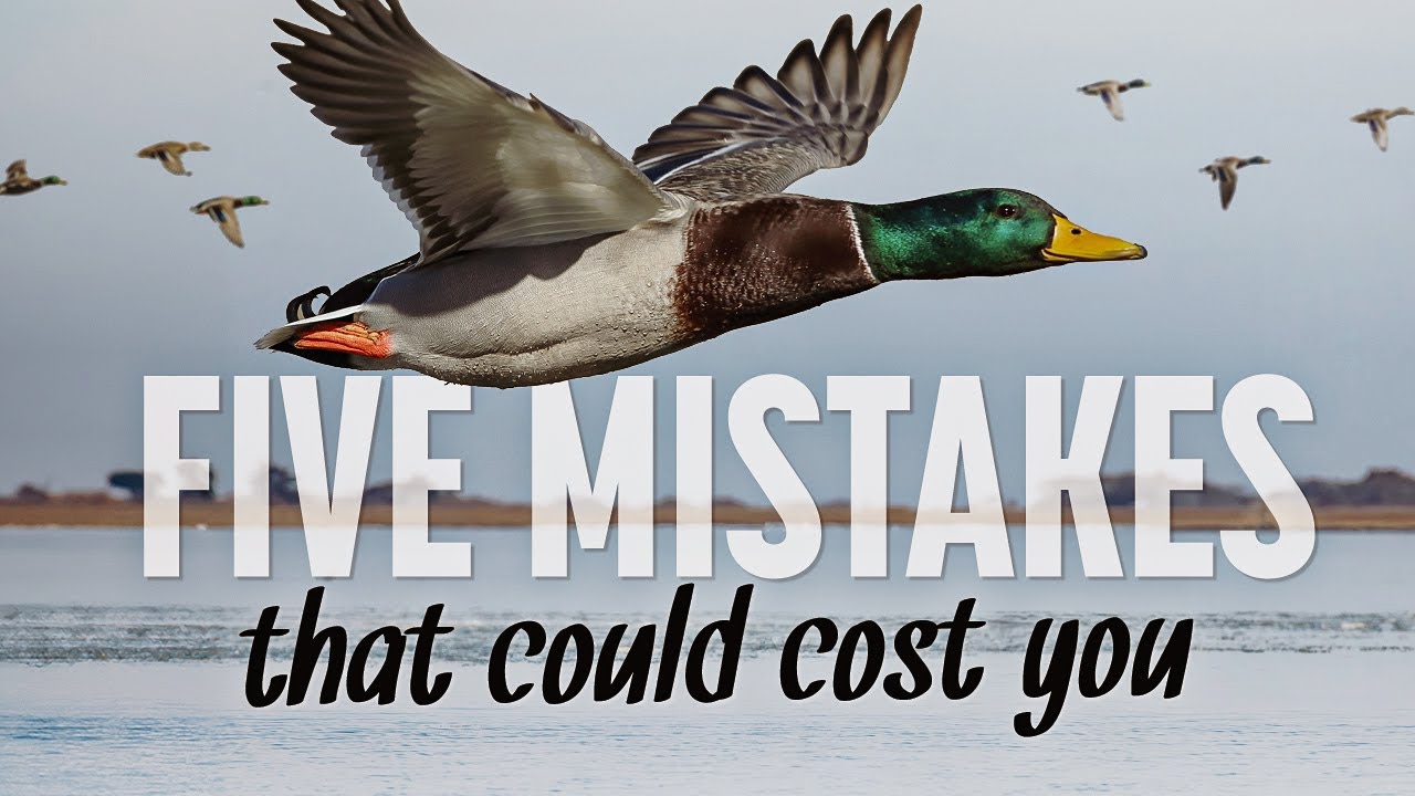 Know the Law: Five Common Waterfowl Hunting Violations in Virginia