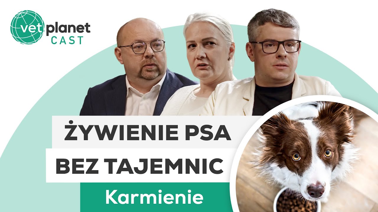 ŻYWIENIE PSA BEZ TAJEMNIC | Odcinek: Karmienie | #vetplanetcast