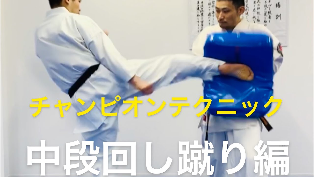 13.【意識を散らす中段回し蹴り】yuji Shimamoto champion technique