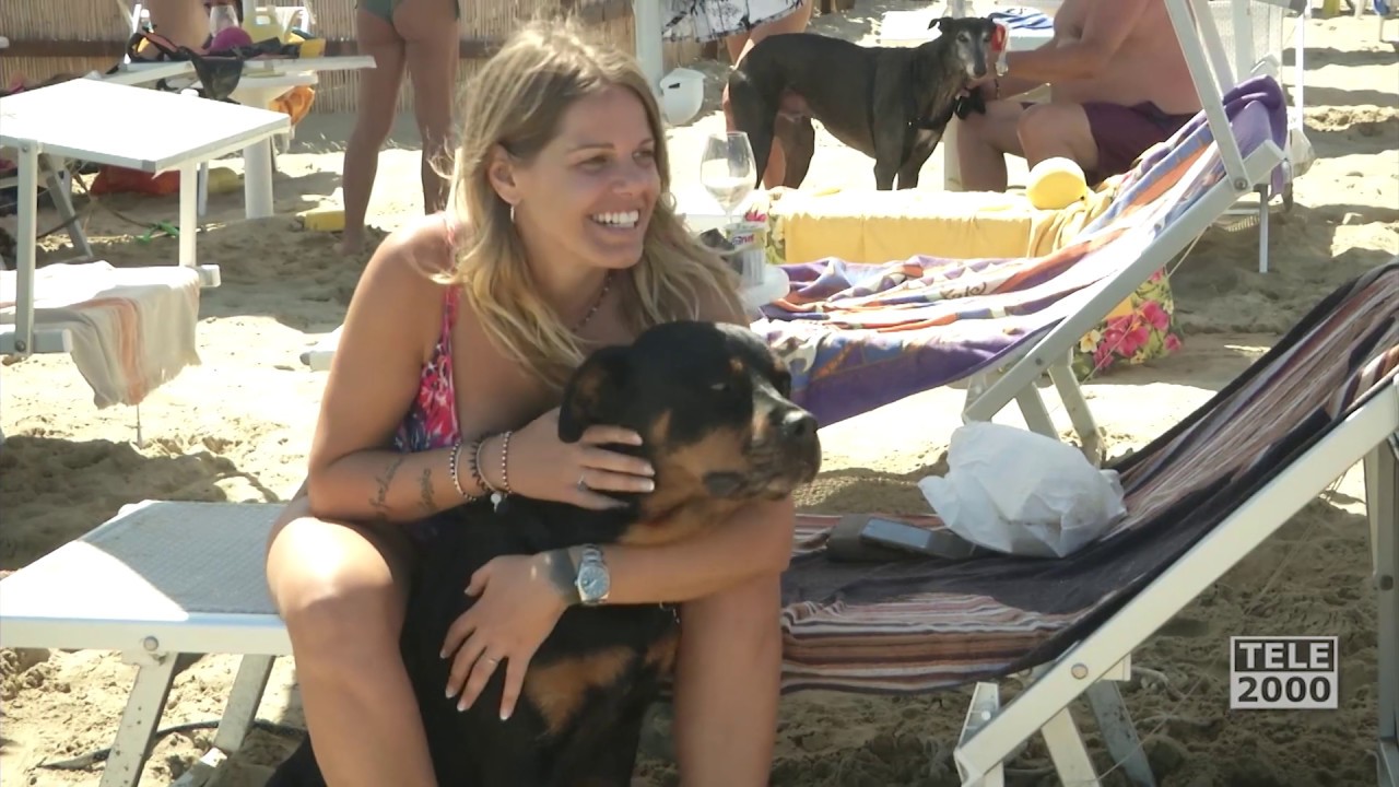 In vacanza con il cane: Animalido dog beach