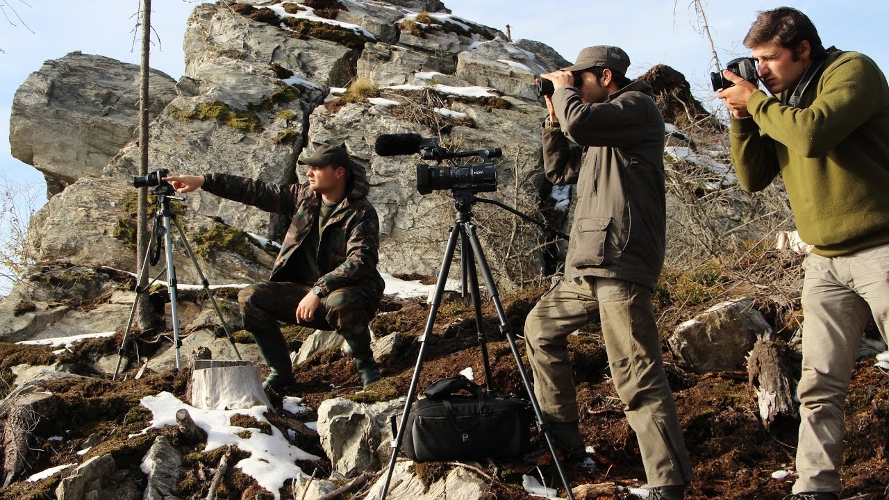 Wild Bucovina Project