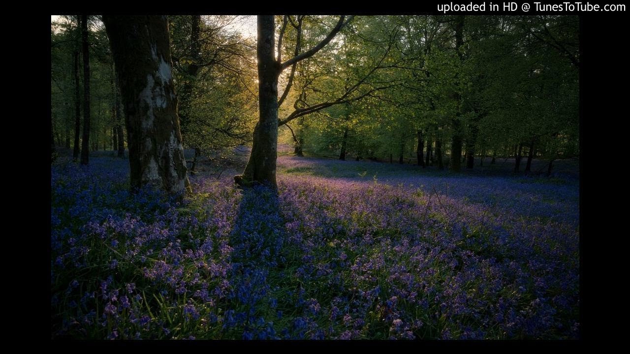 Andante from Antonio Vivaldi Concerto a due Chori in B-flat Major 