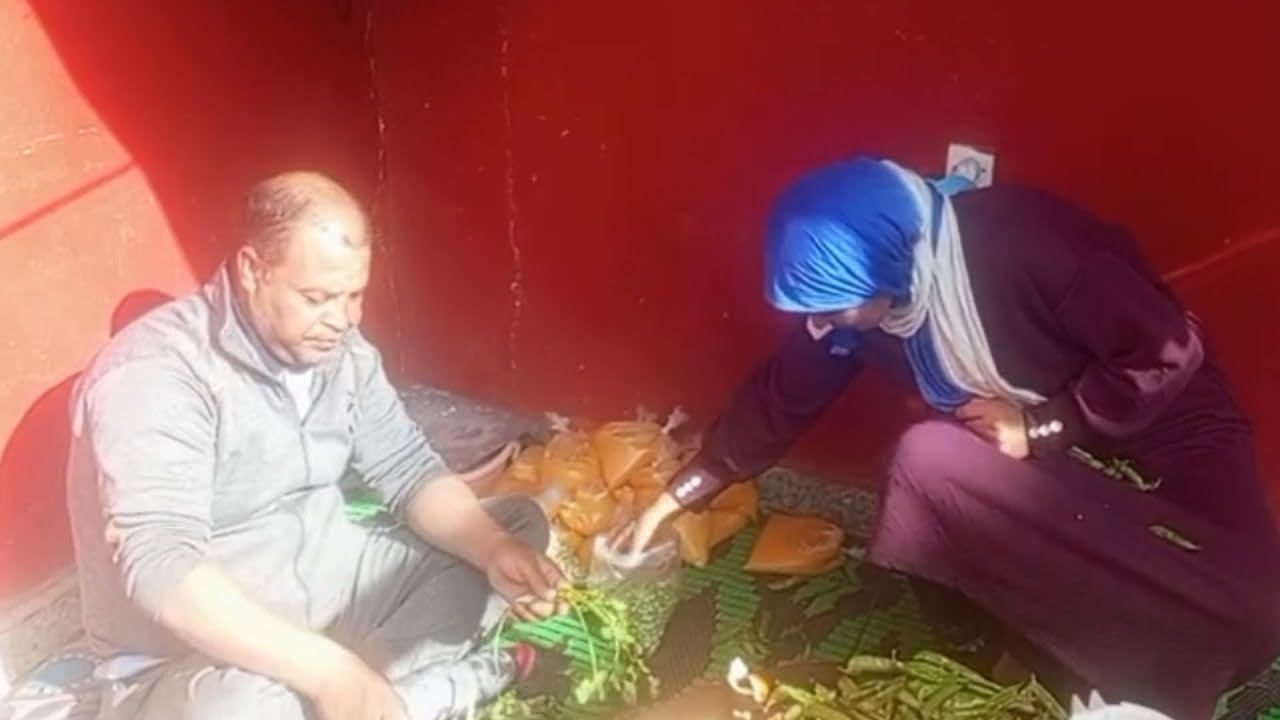 نور الدين فوزية معاونين على الوقت والله يحضر البركه