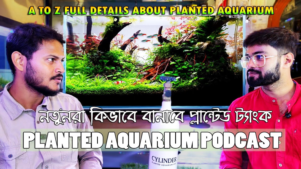 খুব কম খরচে নতুনরা কিভাবে বানাবে PLANTED AQUARIUM || Podcast on planted Aquarium at GLOBAL AQUA P-1
