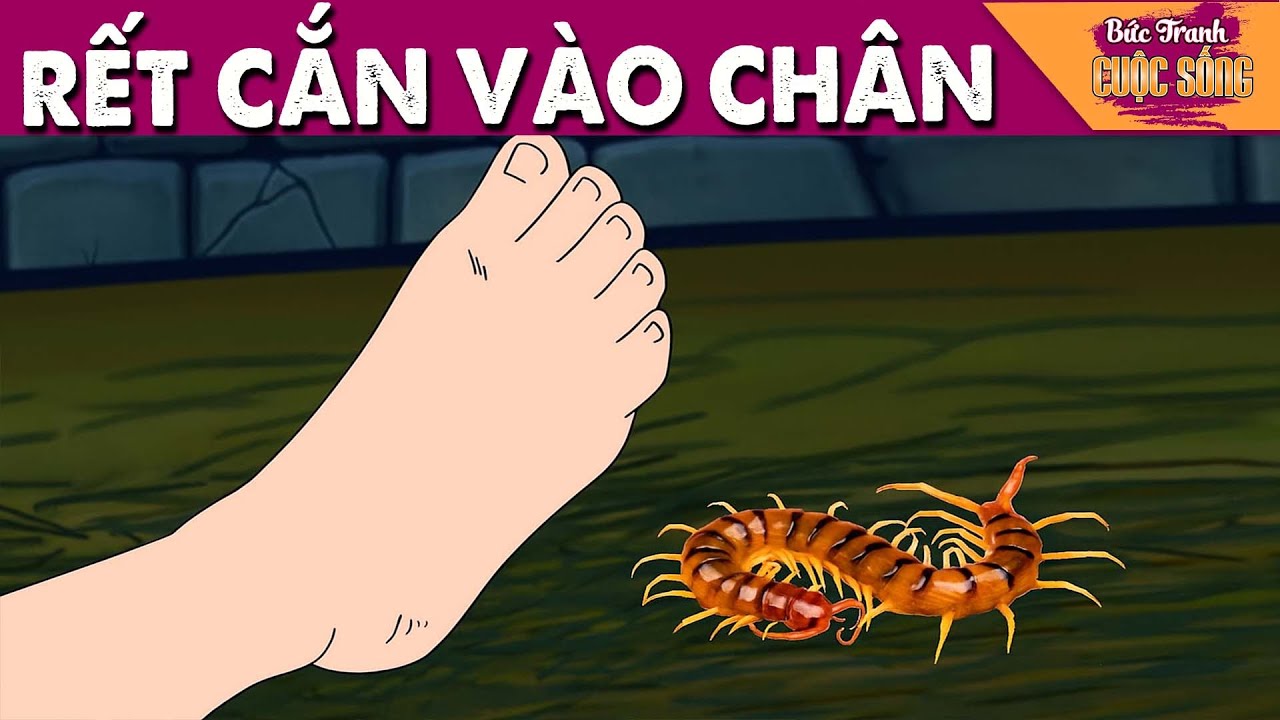 RẾT CẮN VÀO CHÂN - Phim hoạt hình hay nhất - Truyện cổ tích - Cổ tích hay nhất - Tổng hợp phim hay