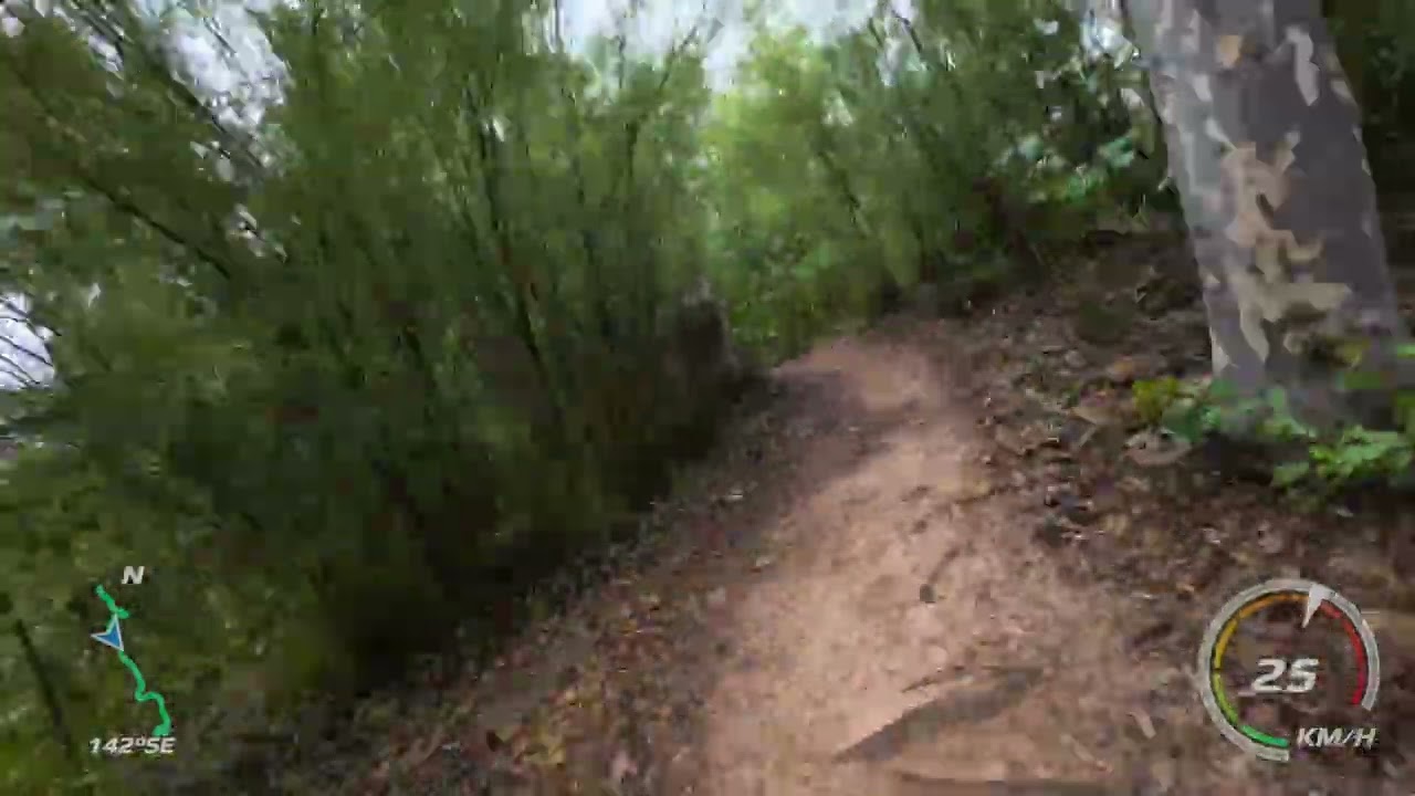 Mogo bike park - Alice in wanderland / Rabbit hole / Tea Party.