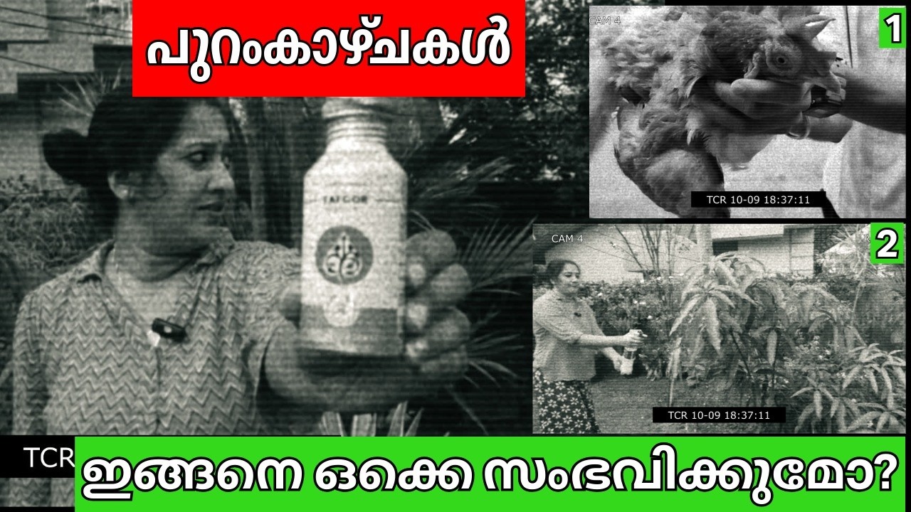 ഇതൊരു മുന്നറിയിപ്പാണ്!⚠️ കോഴിയുടെ വയറ്റിൽ ഇരുമ്പ്! ഗാർഡനിൽ 