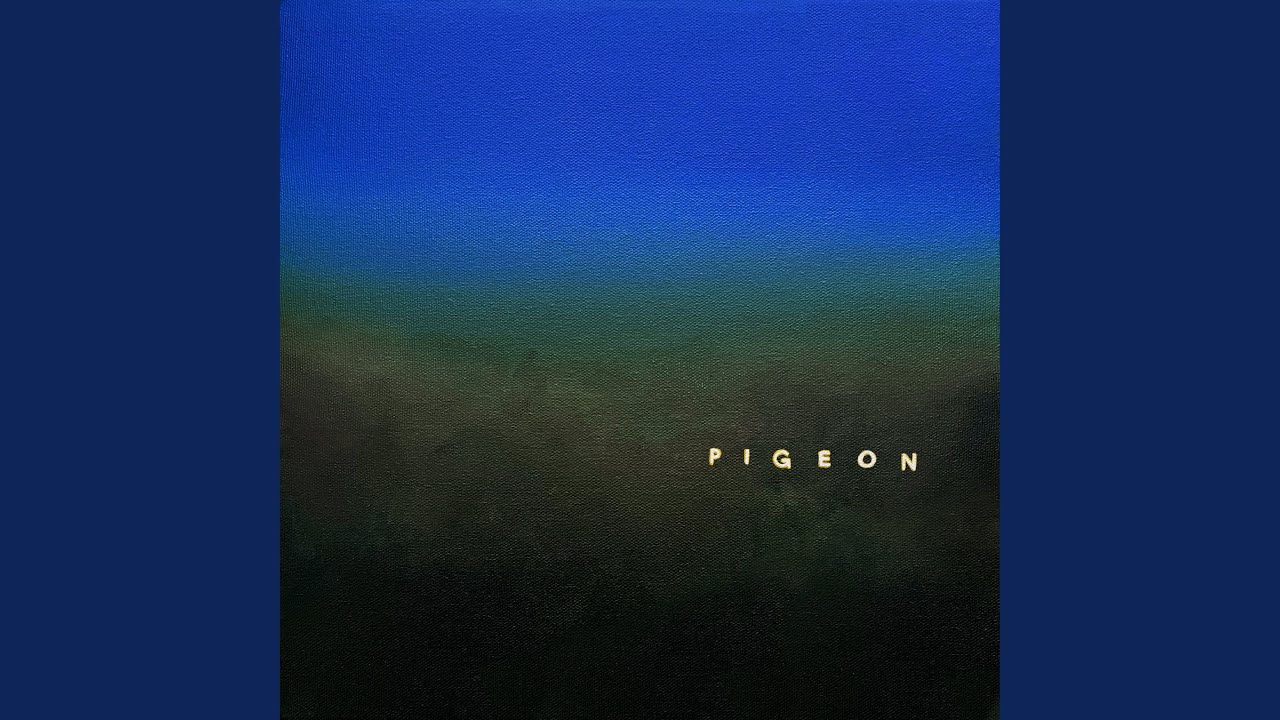 Pigeon
